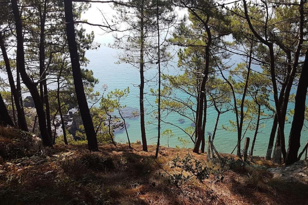 Chez Nany, Chaleureux Duplex Sur Le Port De Morgat Crozon Exterior foto